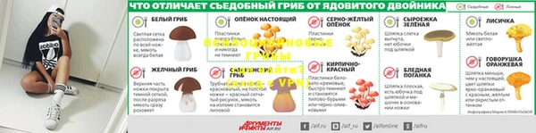 гидра Лиски