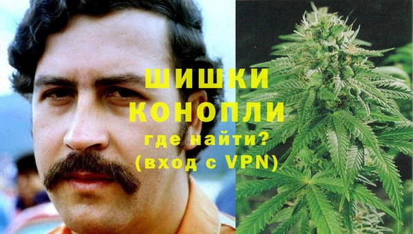 гидра Лиски