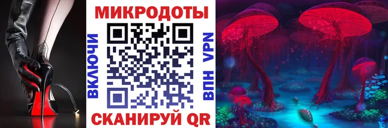 mega ССЫЛКА  Чудово  Псилоцибиновые грибы GOLDEN TEACHER  наркошоп 